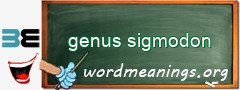 WordMeaning blackboard for genus sigmodon